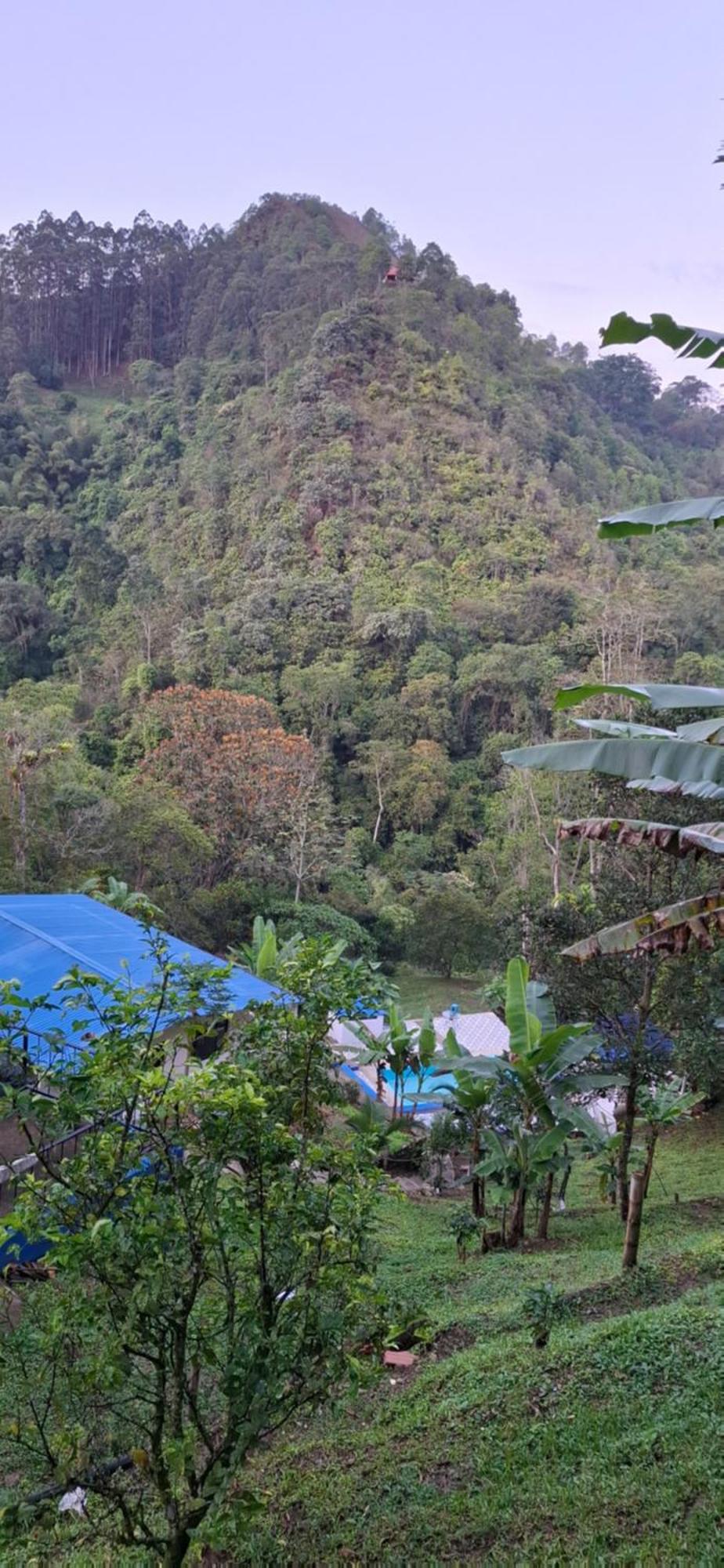 فيلا Finca Campestre San Miguelito لا فيغا المظهر الخارجي الصورة