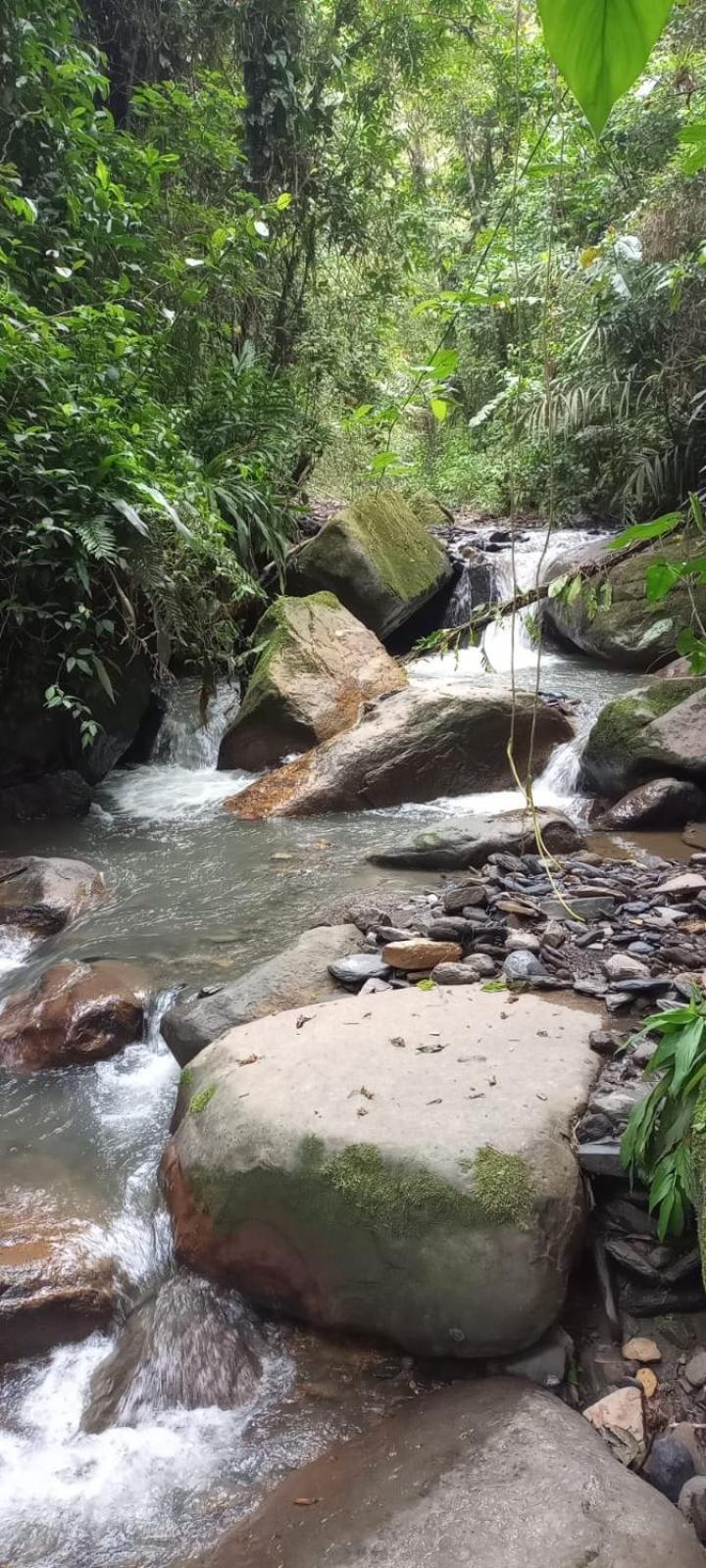 فيلا Finca Campestre San Miguelito لا فيغا المظهر الخارجي الصورة
